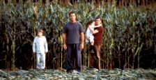 En los campos de maíz