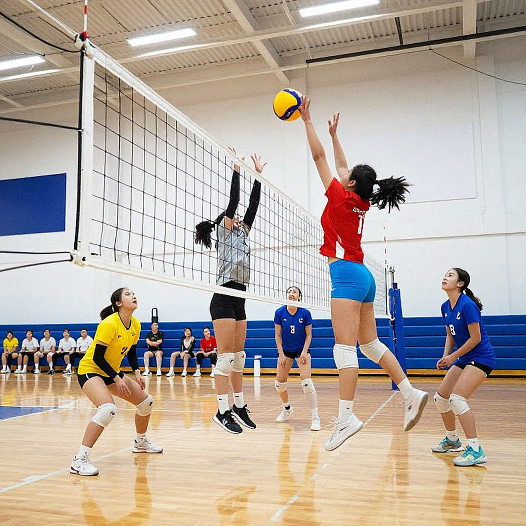 Từ .079 đến .420: Kentucky lật dòng Louisville trong trận derby top-5 đầu tiên của bóng chuyền nữ NCAA